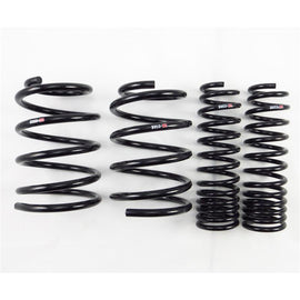 RS-R Down Sus Lowering Springs for Mitsubishi Evolution X 2008+ - CZ4A B250D