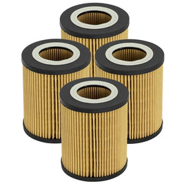aFe Pro GUARD D2 Oil Filter 96-06 BMW Gas Cars L6 (4 Pack) 44-LF022-MB