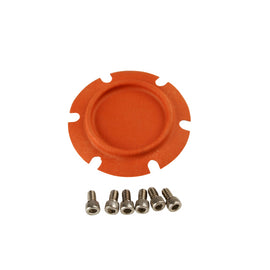 Aeromotive Regulator Repair Kit (for 13208/13210) 13010