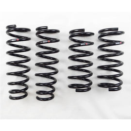 RS-R Down Sus Lowering Springs for Mazda Mazda 6 2009 to 2013 - GH5FW M692W