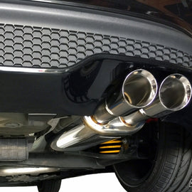 mountune Cat Back Exhaust System 2013-2015 Ford Fiesta ST 2364-CBE-AB