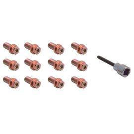 Spectre Header Bolts w/Tool - 3/4in. 46703