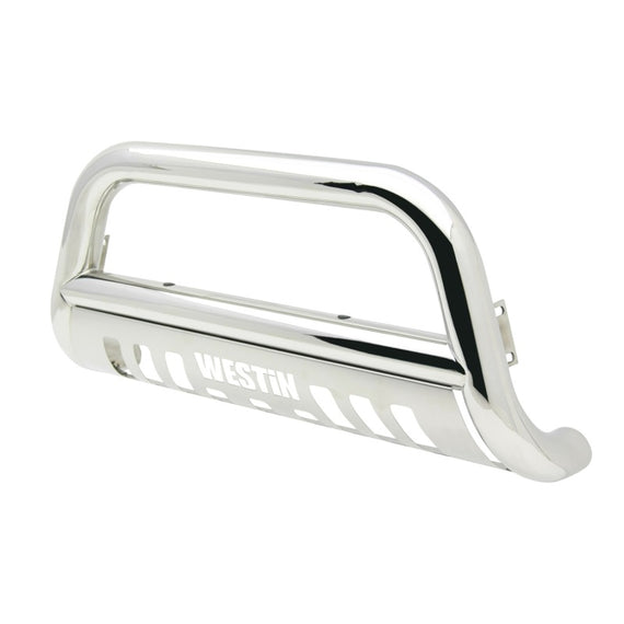 Westin 2005-2007 Ford F-250/350/450/550 Super Duty E-Series Bull Bar - SS 31-5640