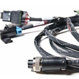 RADIUM ENGINEERING FUEL SURGE TANK WIRING HARNESS FULLY SINGLE 17-0024-00