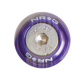 NRG Fender Washer Kit w/Rivets For Metal (Purple) - Set of 10 FW-110PP