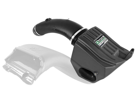 AFE COLD AIR INTAKE 2015-2019 FORD F-150 ECOBOOST 2.7L 3.5L QUANTUM PRO DRY S 53-10008D