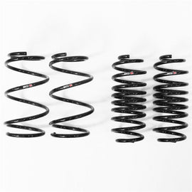RS-R Down Sus Lowering Springs for Toyota Prius 2010-2015 - ZVW30
