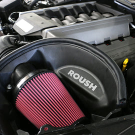 FITS 2015-2017 FORD MUSTANG GT 5.0L V8 ROUSH COLD AIR INTAKE CAI SYSTEM 421826