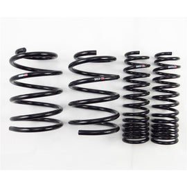 RS-R Down Sus Lowering Springs for Mitsubishi Evolution X 2008+ - CZ4A