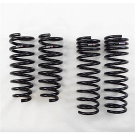 RS-R Down Sus Lowering Springs for Acura TSX 2011+ Sports Wagon - CW2