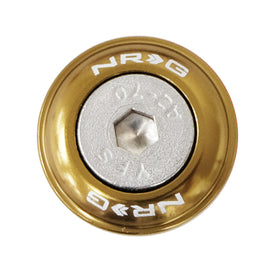 NRG Fender Washer Kit w/Rivets For Plastic (Titanium) - Set of 10 FW-100TI