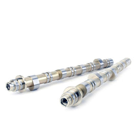 Skunk2 Honda / Acura K20A/A2/Z1/Z3 & K24A2 2.0L DOHC BMF 2 VTEC Camshafts 305-05-7200