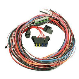AEM EMS 4 - 96" FLYING LEAD HARNESS WITH FUSE AND RELAY PANEL 30-2905-96