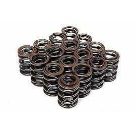 BLOX B SERIES DUAL VALVE SPRINGS FOR HONDA S2000 F20C F22C 00-09 BXPT-10303