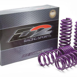 D2 Racing Pro Series Lowering Springs for Honda ACCORD 90-97 (FR=2.50 & RE=2.25) D-SP-HN-03