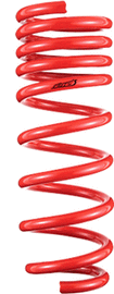 Tanabe - Sustec DF210 Lowering Springs - Lexus LS400 1995-2000