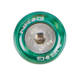 NRG Fender Washer Kit w/Rivets For Metal (Green) - Set of 10 FW-110GN