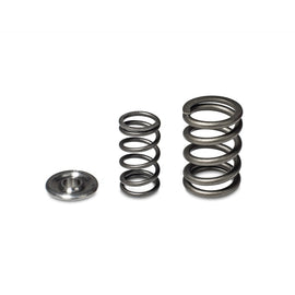 Skunk2 Alpha Series Honda/Acura H Series Valve Spring and Titanium Retainer Kit 344-05-1360