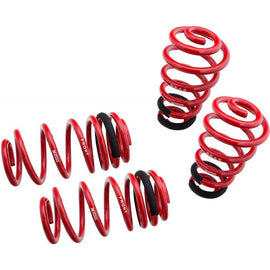 Megan Racing Lowering Springs Euro-Version for Audi A4 02-05 FWD MR-LS-A402FW