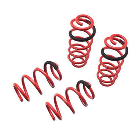 Megan Racing Lowering Springs Euro-Version for Audi RS5 13-17 - MR-LS-ARS5 MR-LS-ARS5