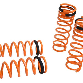 Megan Racing Lowering Springs for Acura TSX 04-08 / Honda Accord 03-07 MR-LS-AT04