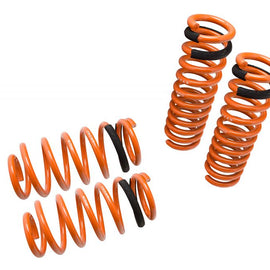 Megan Racing Lowering Springs for Dodge Charger 06-10 MR-LS-DCHR06