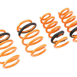 Megan Racing Lowering Springs for Ford Flex 09+ MR-LS-FFX09 MR-LS-FFX09