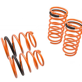 Megan Racing Lowering Springs for Ford Escort 97-01 / ZX2 97-02 MR-LS-FZ97