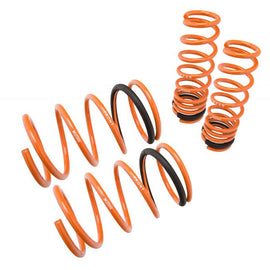 Megan Racing Lowering Springs for Mitsubishi Lancer EVO 8/9 03-07 MR-LS-MLE803