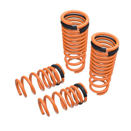 Megan Racing Lowering Springs for Nissan GT-R (R35) 09-15 - MR-LS-NR35 MR-LS-NR35