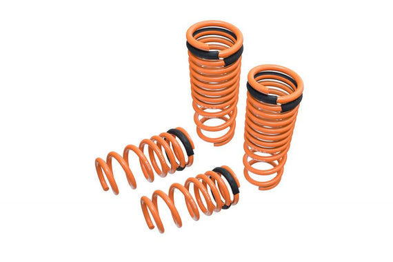 Megan Racing Lowering Springs for Nissan GT-R (R35) 09-15 - MR-LS-NR35 MR-LS-NR35