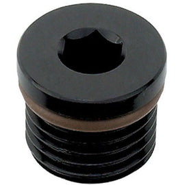 RADIUM ENGINEERING 1/8 NPT PLUG 14-0172