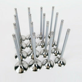SKUNK2 ALPHA SERIES VALVE SET FOR HONDA/ACURA B SERIES VTEC, STD COMPRESSION 310-05-1310