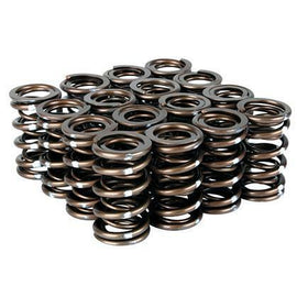 SKUNK2 PRO SERIES XP VALVE SPRINGS FOR K20/ K24/ F20C*/ F22C* 311-05-7380 311-05-7380