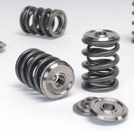 SKUNK2 ALPHA VALVE SPRING & TI RETAINER KIT FOR HONDA/ACURA B SERIES 344-05-1300 344-05-1300