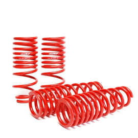 SKUNK2 LOWERING SPRINGS FOR 1996-2000 HONDA CIVIC 519-05-1550 519-05-1550