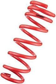 Tanabe Sustec NF210 Lowering Springs for Lexus IS350 2006-2013 TNF113